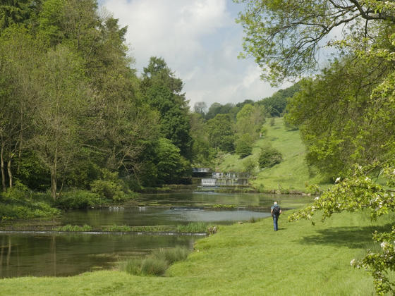 River at Lathkill Dale